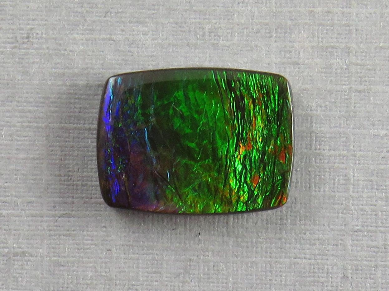 Canadian Ammolite Doublet | Natural Ammonite Fossil Cabochon | AC103 - Canadian Ammolite - GemEnthusiast