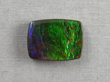 Canadian Ammolite Doublet | Natural Ammonite Fossil Cabochon | AC103 - Canadian Ammolite - GemEnthusiast
