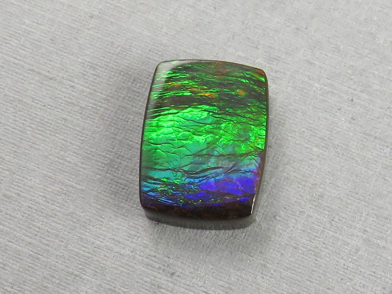 Canadian Ammolite Doublet | Natural Ammonite Fossil Cabochon | AC103 - Canadian Ammolite - GemEnthusiast