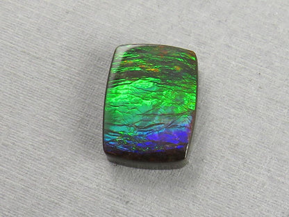 Canadian Ammolite Doublet | Natural Ammonite Fossil Cabochon | AC103 - Canadian Ammolite - GemEnthusiast