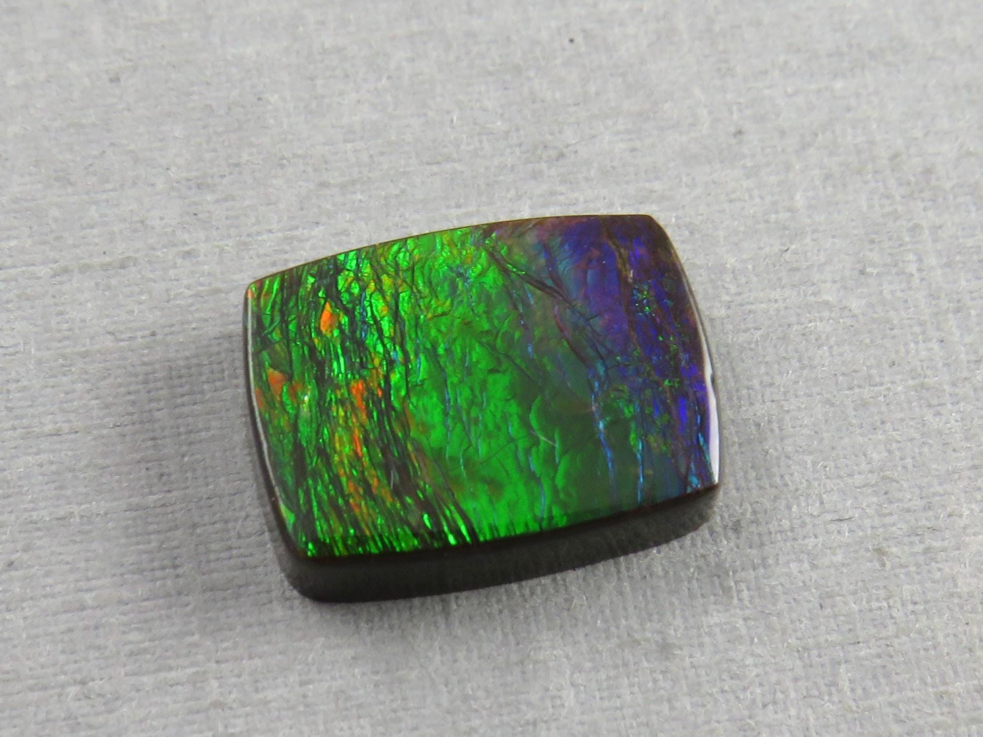 Canadian Ammolite Doublet | Natural Ammonite Fossil Cabochon | AC103 - Canadian Ammolite - GemEnthusiast