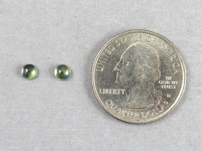 Montana Sapphire Cabochon - 4mm Round Pair | Bicolor Teal-Blue | American Gemstone | SA304 - Montana Sapphire - GemEnthusiast