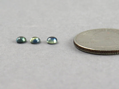 Montana Sapphire Cabochon - 4mm Round Lot | Bicolor Teal-Blue | American Gemstone | SA306 - Montana Sapphire - GemEnthusiast