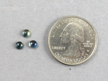 Montana Sapphire Cabochon - 4mm Round Lot | Bicolor Teal-Blue | American Gemstone | SA306 - Montana Sapphire - GemEnthusiast