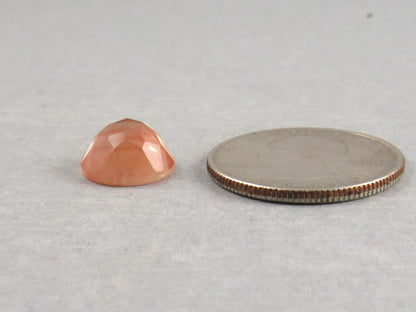 12mm Oregon Sunstones with Schiller | Round Rose Cut Cabochon | 6 carats | OSR106 - Oregon Sunstone - GemEnthusiast