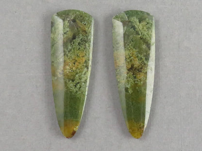 Moss Agate Pair | Natural Loose Gemstone | Dendritic Chalcedony | Indonesia | 37x12x4 | AG344 - Moss Agate - GemEnthusiast