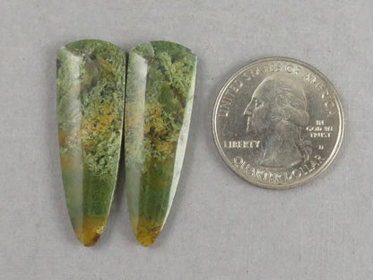 Moss Agate Pair | Natural Loose Gemstone | Dendritic Chalcedony | Indonesia | 37x12x4 | AG344 - Moss Agate - GemEnthusiast