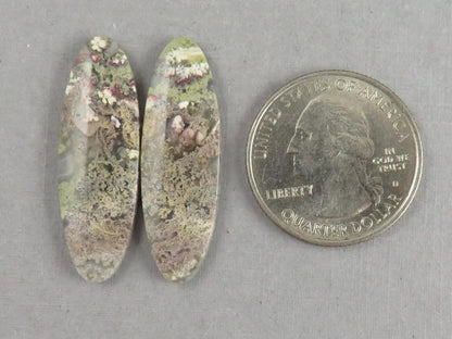 Indonesian Moss Agate Pair | Oval Natural Loose Chalcedony Gemstone | 34x11x3 | AG341 - Moss Agate - GemEnthusiast