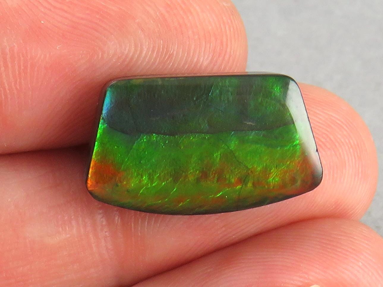 Canadian Ammolite Doublet | Natural Ammonite Fossil Cabochon | 19.3x11.3x3.5 | AC104 - Canadian Ammolite - GemEnthusiast