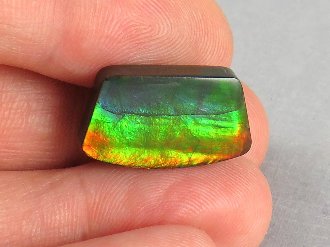 Canadian Ammolite Doublet | Natural Ammonite Fossil Cabochon | 19.3x11.3x3.5 | AC104 - Canadian Ammolite - GemEnthusiast