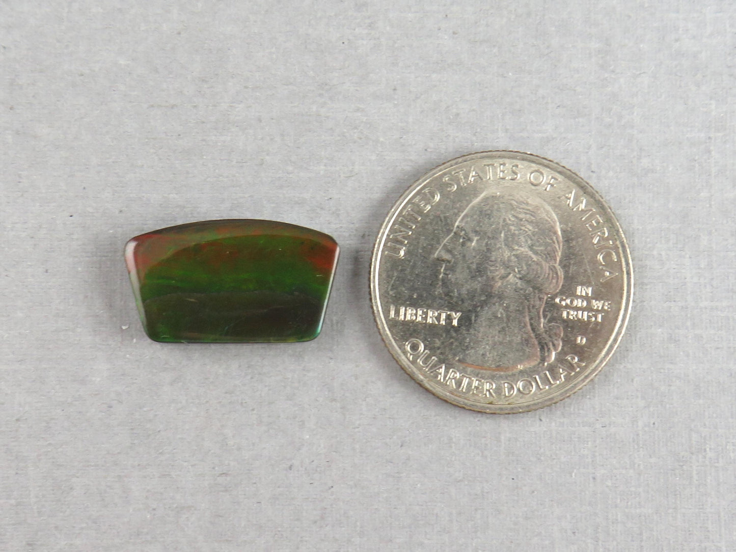Canadian Ammolite Doublet | Natural Ammonite Fossil Cabochon | 19.3x11.3x3.5 | AC104 - Canadian Ammolite - GemEnthusiast