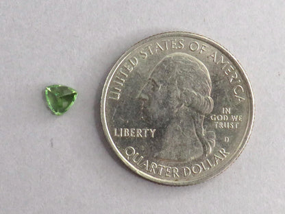 Fluorescent Grossular Garnet | 4.9mm Trillion | East Africa | GR106 - Grossular Garnet - GemEnthusiast