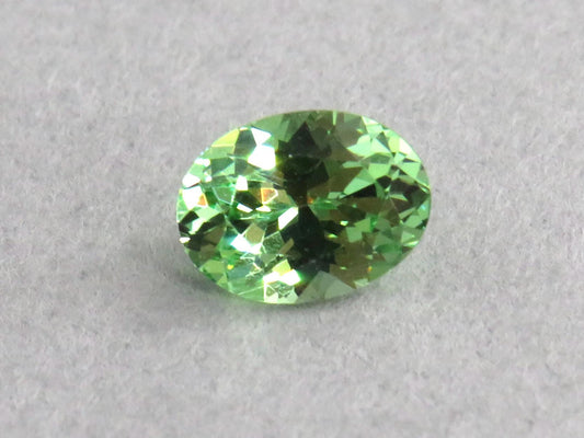 Fluorescent Grossular Garnet | 4.9mm Oval Gemstone | East Africa | GR105 - Grossular Garnet - GemEnthusiast