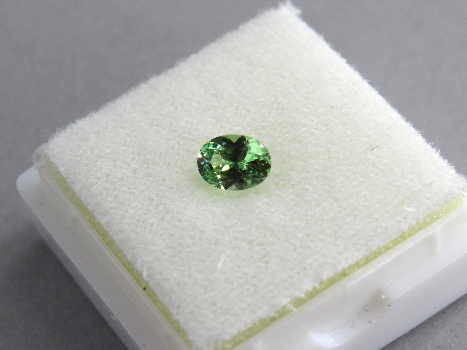 Fluorescent Grossular Garnet | 4.9mm Oval Gemstone | East Africa | GR105 - Grossular Garnet - GemEnthusiast
