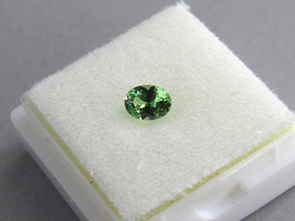 Fluorescent Grossular Garnet | 4.9mm Oval Gemstone | East Africa | GR105 - Grossular Garnet - GemEnthusiast