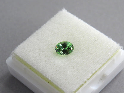 Fluorescent Grossular Garnet | 4.9mm Oval Gemstone | East Africa | GR105 - Grossular Garnet - GemEnthusiast