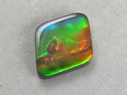 Canadian Ammolite Doublet | Natural Ammonite Fossil Cabochon | 20x16x3.5 | AC106 - Canadian Ammolite - GemEnthusiast