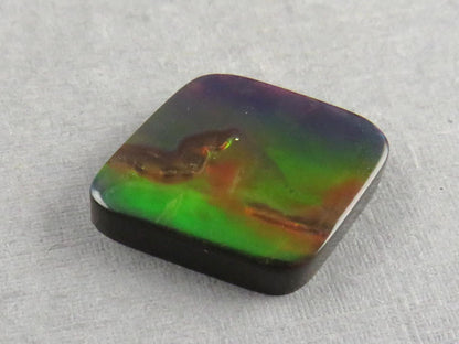 Canadian Ammolite Doublet | Natural Ammonite Fossil Cabochon | 20x16x3.5 | AC106 - Canadian Ammolite - GemEnthusiast