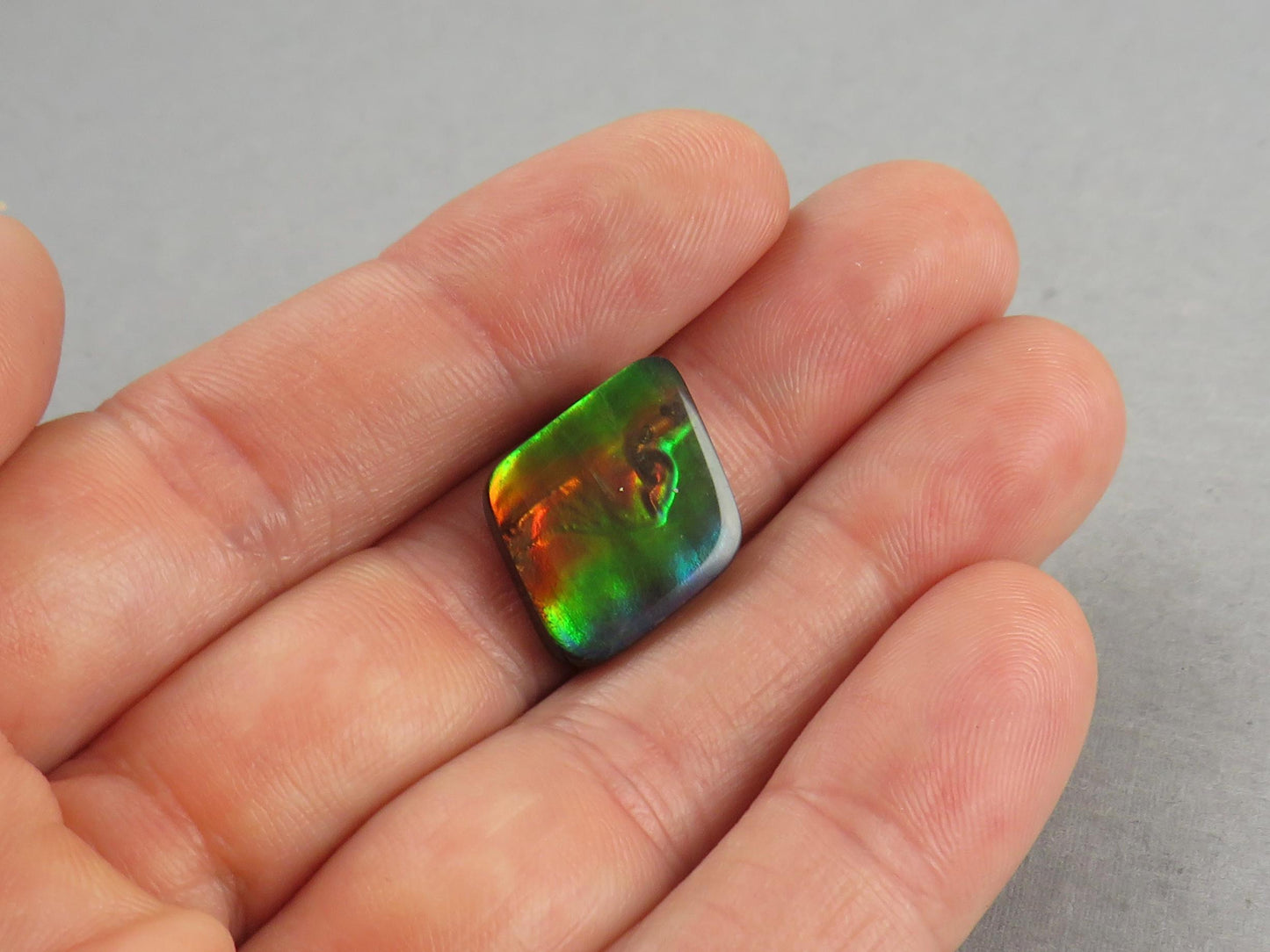 Canadian Ammolite Doublet | Natural Ammonite Fossil Cabochon | 20x16x3.5 | AC106 - Canadian Ammolite - GemEnthusiast