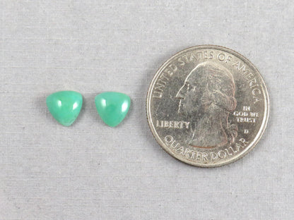 Gem Silica | Chrysocolla Chalcedony | 7mm Triangle Cabochon Pair | Peru | Per Pair | CH130 - Gem Silica, Chrysocolla in Chalcedony - GemEnthusiast