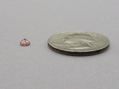 Malaya Peach Garnet | 4mm Round Loose Gemstones | Per Stone - Malaya Garnet - GemEnthusiast