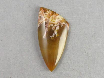 Condor Sagenite Agate Cabochon | Chalcedony from Patagonia Argentina | AG308 - Condor Agate, Sagenite Agate - GemEnthusiast