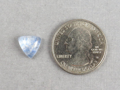 Dumortierite in Quartz Triangle Cabochon | 10x10 | Natural Gemstone from Brazil | 3 carats | QU549 - Quartz, Dumortierite - GemEnthusiast