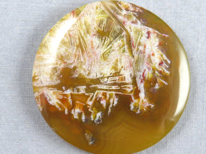 Condor Agate Cabochon | Round Chalcedony from Patagonia Argentina | AG310 - Condor Agate, Sagenite Agate - GemEnthusiast
