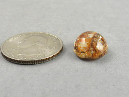 Quartz with Biotite | Oval Cabochon | Brazil | 16x13x7 | 10.4 carats | QU540 - Quartz, Biotite - GemEnthusiast