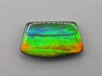 Canadian Ammolite Doublet | Natural Ammonite Fossil Cabochon | 19.3x11.3x3.5 | AC104 - Canadian Ammolite - GemEnthusiast