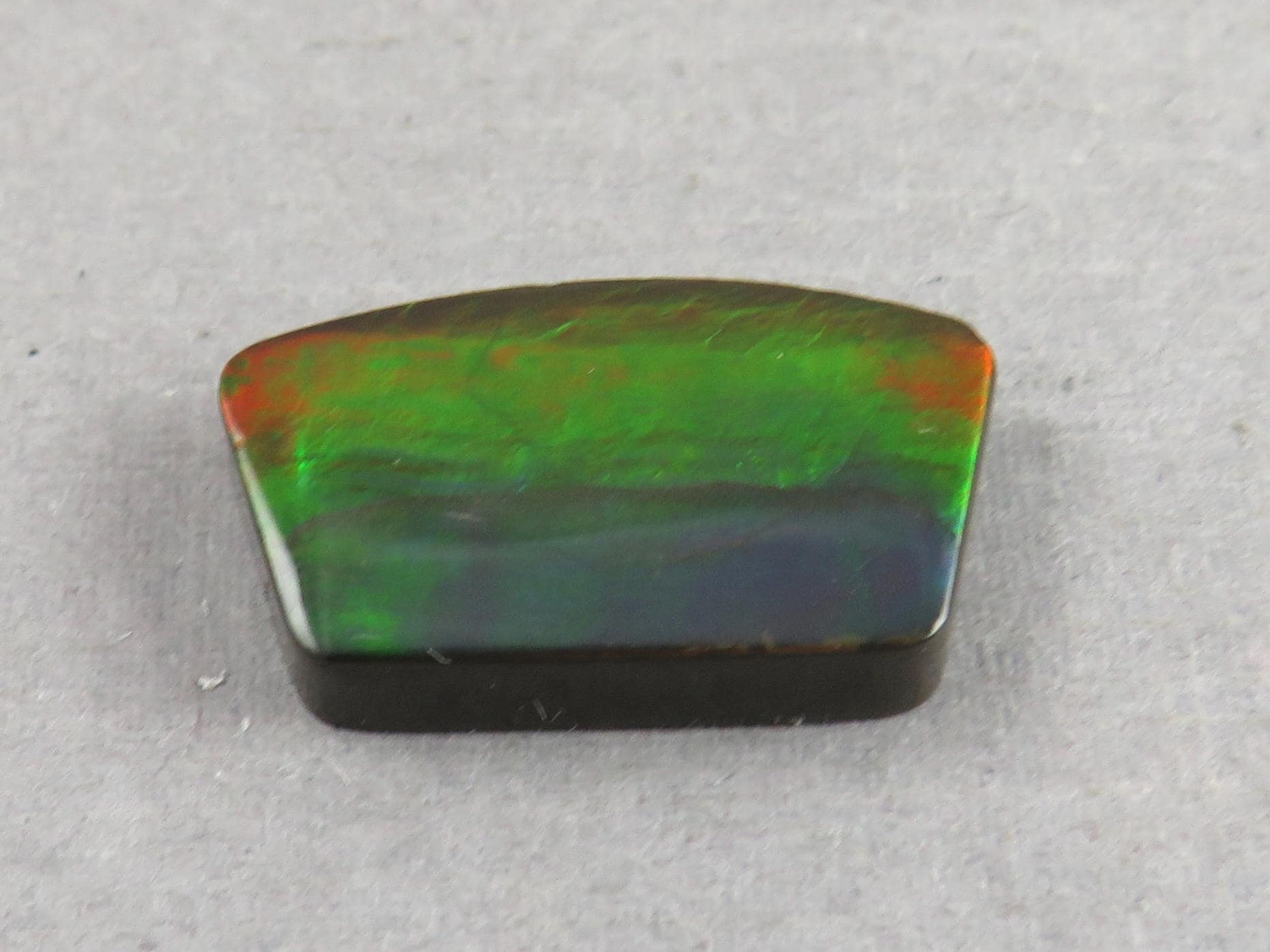 Canadian Ammolite Doublet | Natural Ammonite Fossil Cabochon | 19.3x11.3x3.5 | AC104 - Canadian Ammolite - GemEnthusiast
