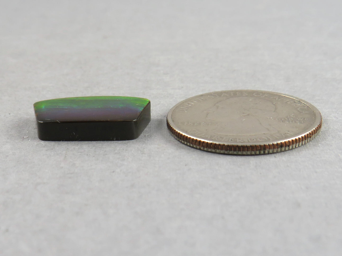 Canadian Ammolite Doublet | Natural Ammonite Fossil Cabochon | 19.3x11.3x3.5 | AC104 - Canadian Ammolite - GemEnthusiast