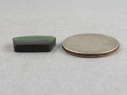 Canadian Ammolite Doublet | Natural Ammonite Fossil Cabochon | 19.3x11.3x3.5 | AC104 - Canadian Ammolite - GemEnthusiast