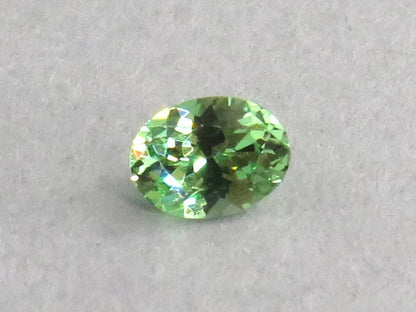 Fluorescent Grossular Garnet | 4.9mm Oval Gemstone | East Africa | GR105 - Grossular Garnet - GemEnthusiast