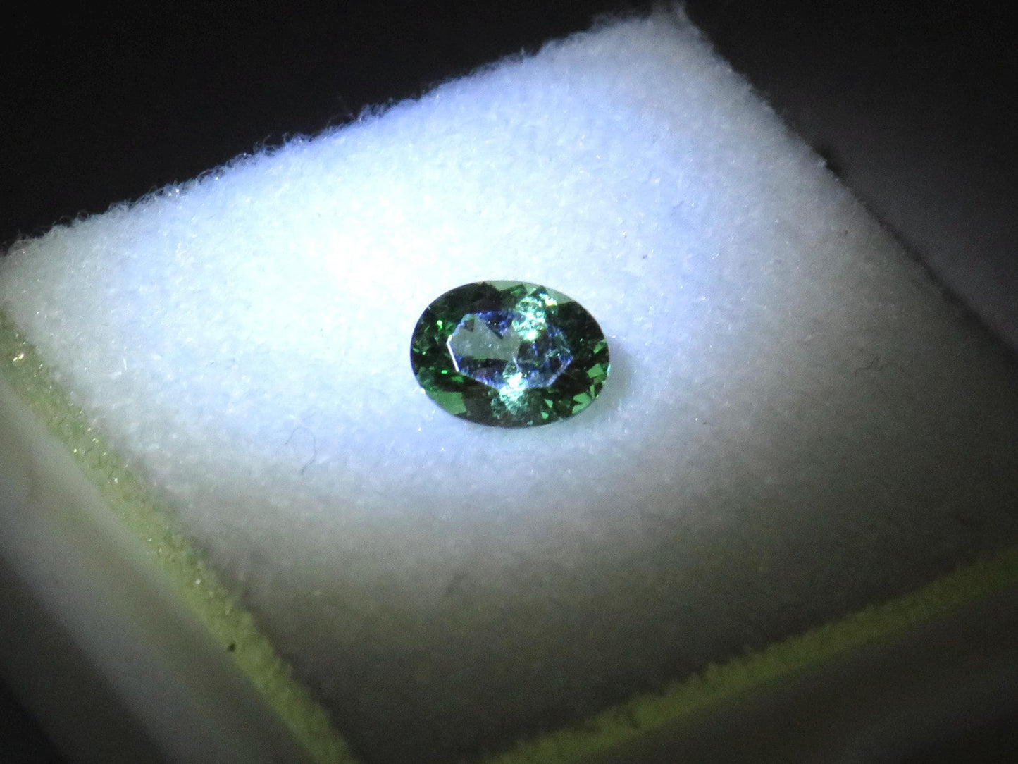 Fluorescent Grossular Garnet | 4.9mm Oval Gemstone | East Africa | GR105 - Grossular Garnet - GemEnthusiast