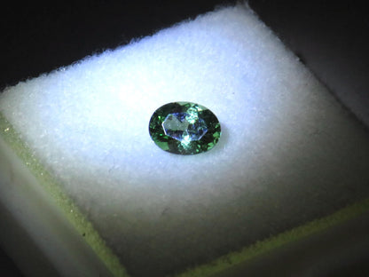Fluorescent Grossular Garnet | 4.9mm Oval Gemstone | East Africa | GR105 - Grossular Garnet - GemEnthusiast