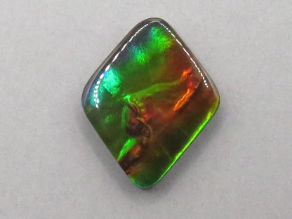 Canadian Ammolite Doublet | Natural Ammonite Fossil Cabochon | 20x16x3.5 | AC106 - Canadian Ammolite - GemEnthusiast