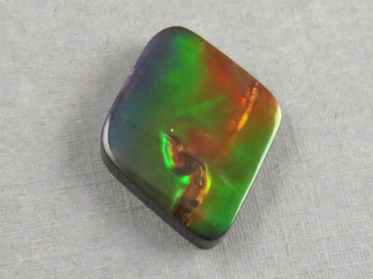 Canadian Ammolite Doublet | Natural Ammonite Fossil Cabochon | 20x16x3.5 | AC106 - Canadian Ammolite - GemEnthusiast