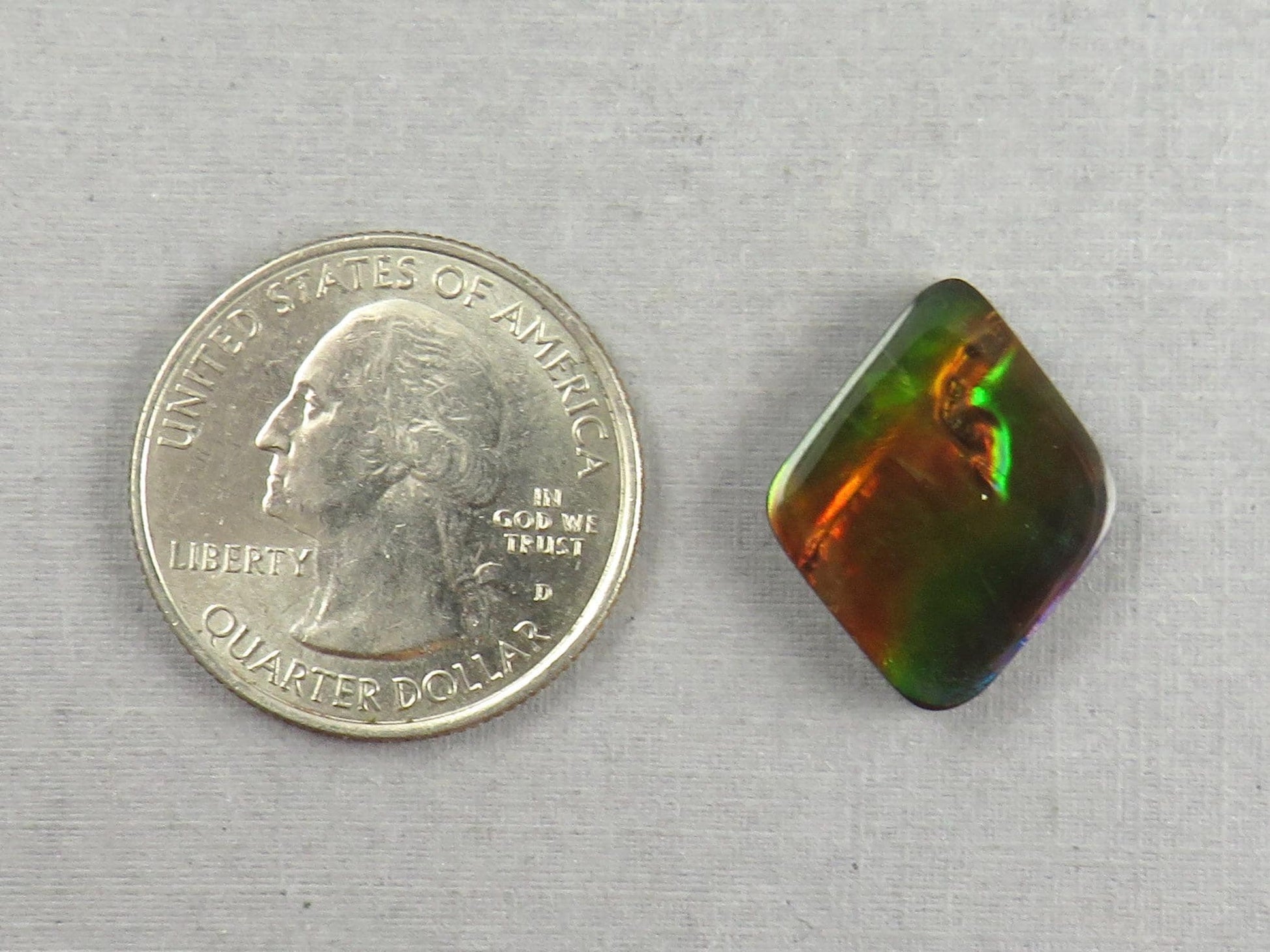 Canadian Ammolite Doublet | Natural Ammonite Fossil Cabochon | 20x16x3.5 | AC106 - Canadian Ammolite - GemEnthusiast