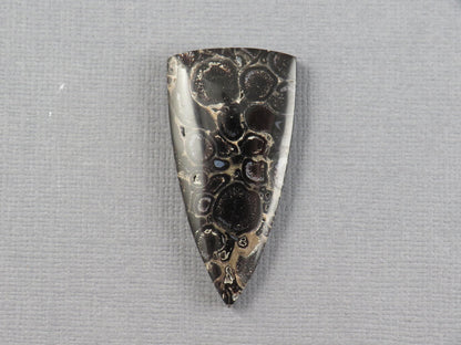Fossilized Palm Root Cabochon Triangle | Palm Root Eye | 29x19mm, 23.6ct | Indonesia | PRA107 - - GemEnthusiast