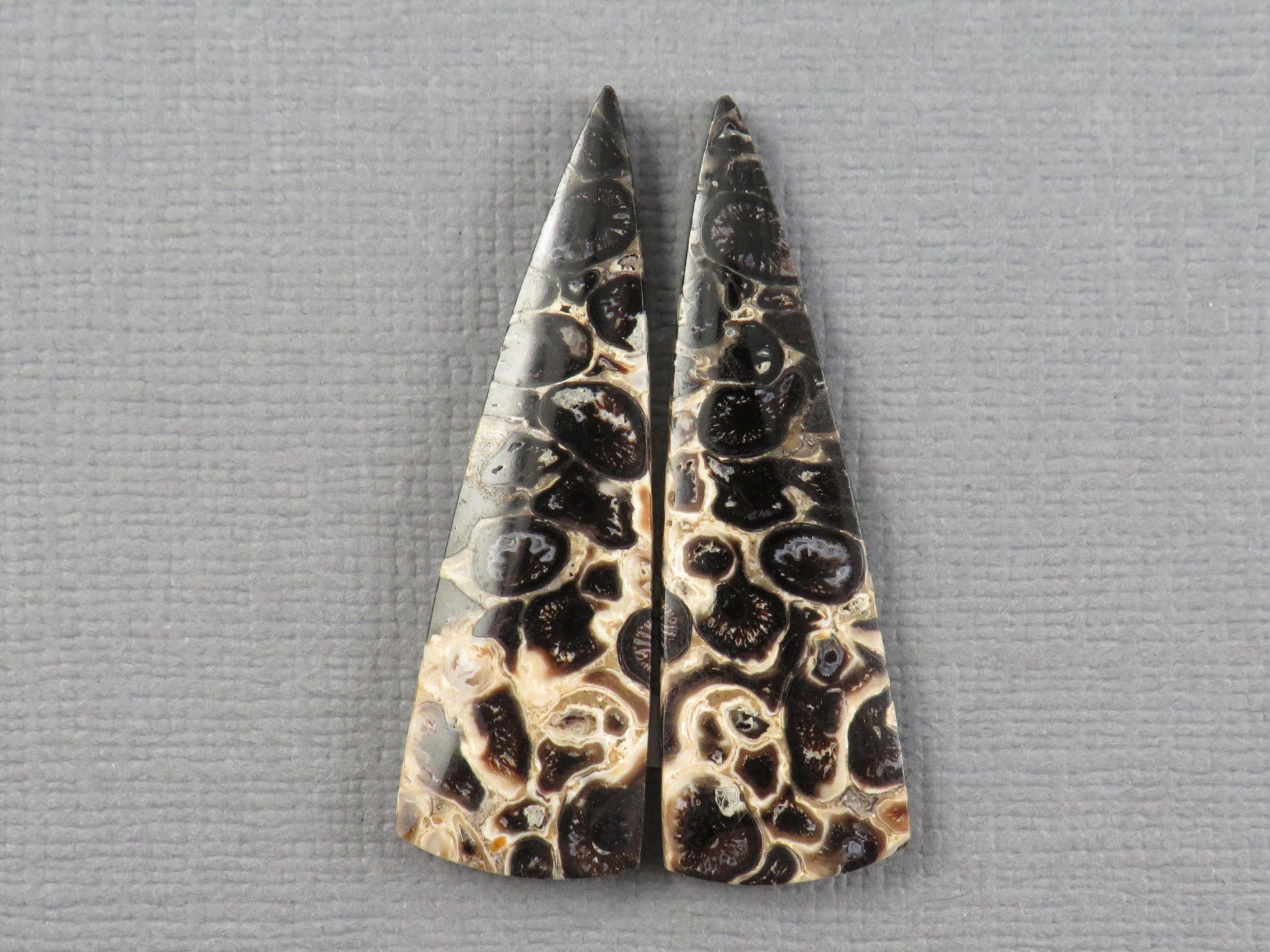 Fossilized Palm Root Cabochon Pair | Palm Root Eye | 36x11mm, 13.66ct | Per Pair | Indonesia | PRA109 - - GemEnthusiast