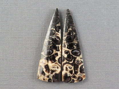 Fossilized Palm Root Cabochon Pair | Palm Root Eye | 36x11mm, 13.66ct | Per Pair | Indonesia | PRA109 - - GemEnthusiast