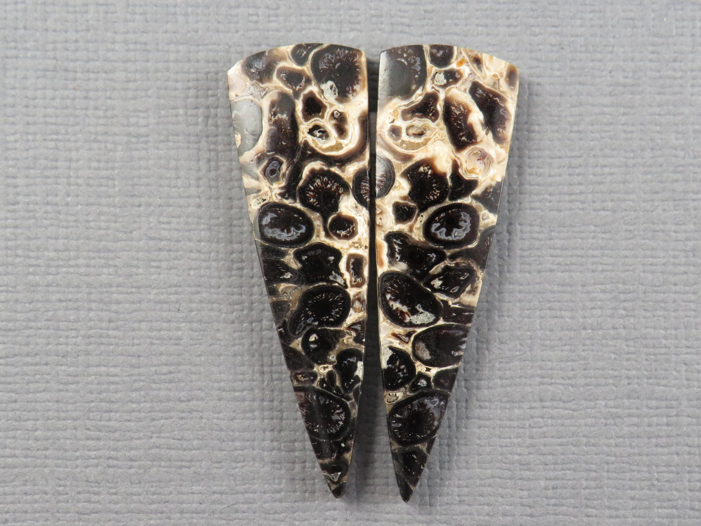 Fossilized Palm Root Cabochon Pair | Palm Root Eye | 36x11mm, 13.66ct | Per Pair | Indonesia | PRA109 - - GemEnthusiast
