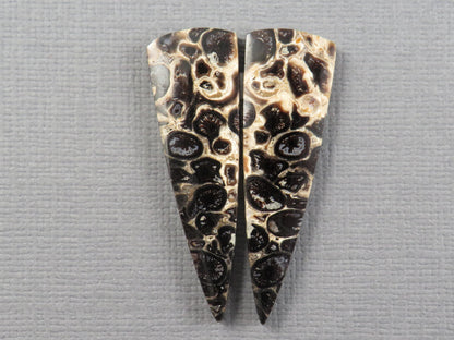 Fossilized Palm Root Cabochon Pair | Palm Root Eye | 36x11mm, 13.66ct | Per Pair | Indonesia | PRA109 - - GemEnthusiast