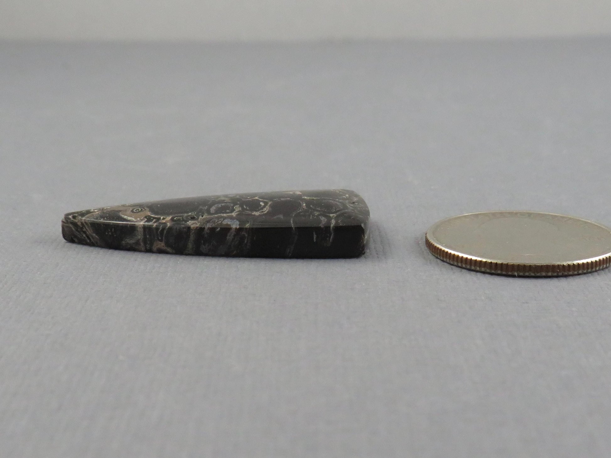 Fossilized Palm Root Cabochon Triangle | Palm Root Eye | 29x19mm, 23.6ct | Indonesia | PRA107 - - GemEnthusiast