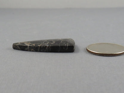Fossilized Palm Root Cabochon Triangle | Palm Root Eye | 29x19mm, 23.6ct | Indonesia | PRA107 - - GemEnthusiast