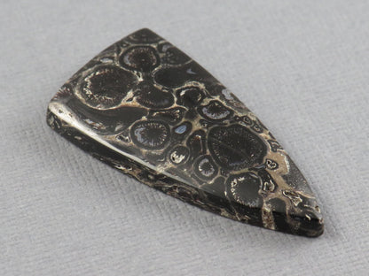 Fossilized Palm Root Cabochon Triangle | Palm Root Eye | 29x19mm, 23.6ct | Indonesia | PRA107 - - GemEnthusiast