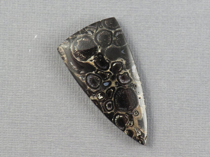 Fossilized Palm Root Cabochon Triangle | Palm Root Eye | 29x19mm, 23.6ct | Indonesia | PRA107 - - GemEnthusiast