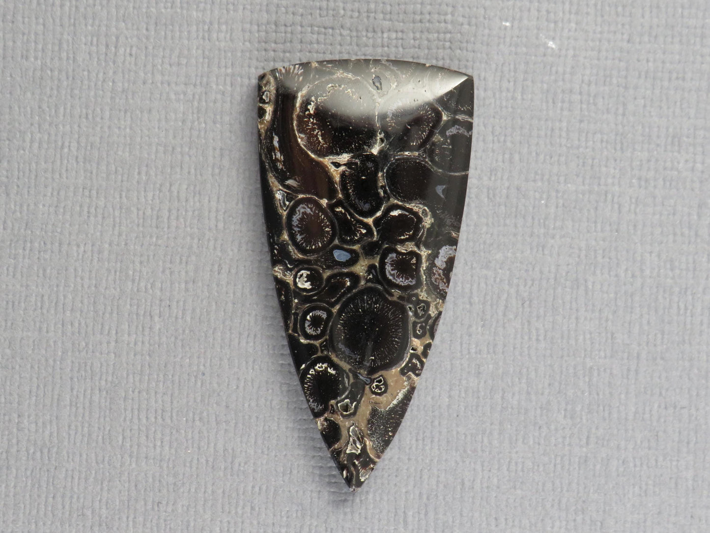 Fossilized Palm Root Cabochon Triangle | Palm Root Eye | 29x19mm, 23.6ct | Indonesia | PRA107 - - GemEnthusiast