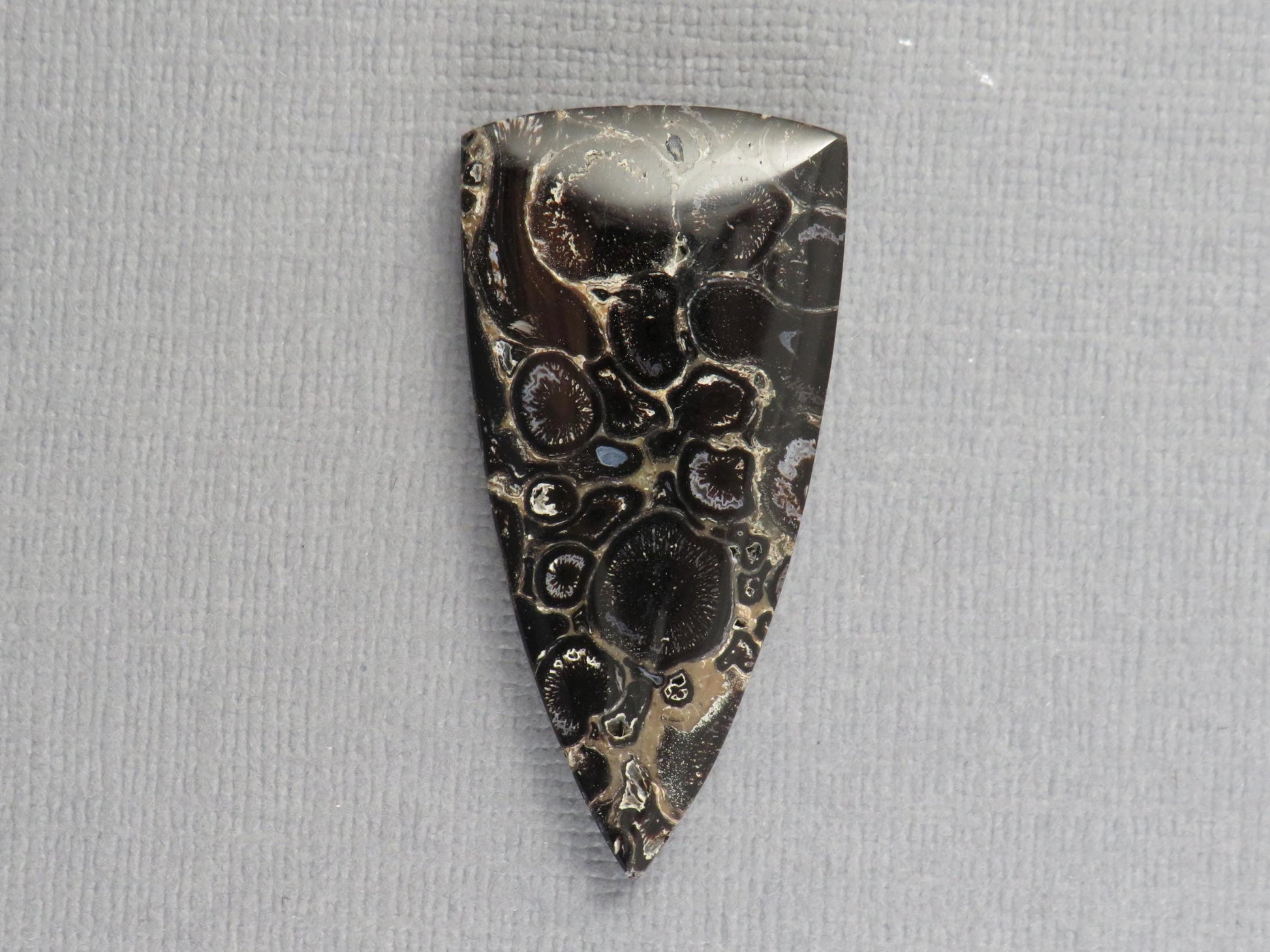 Fossilized Palm Root Cabochon Triangle | Palm Root Eye | 29x19mm, 23.6ct | Indonesia | PRA107 - - GemEnthusiast